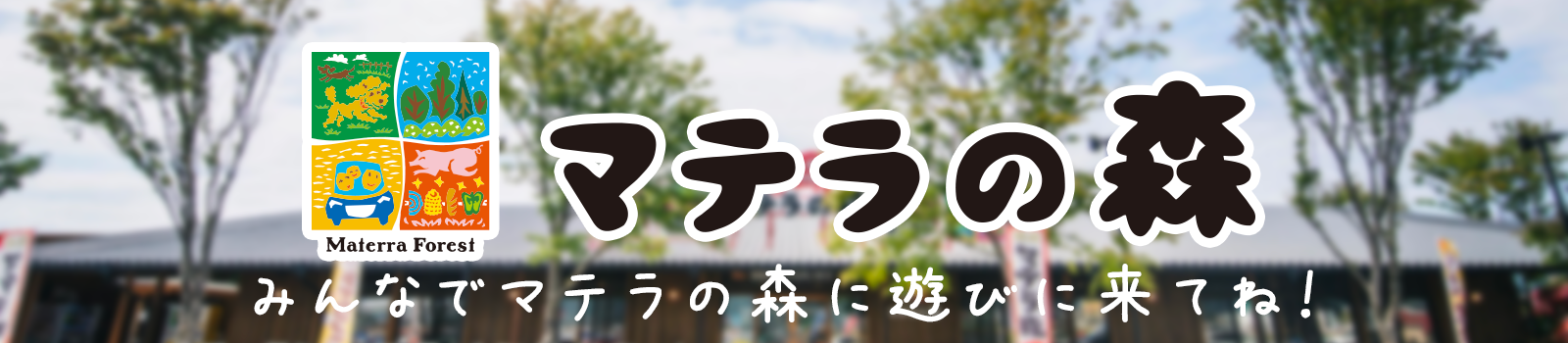 マテラの森